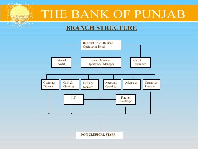 presentation on bank of punjab
