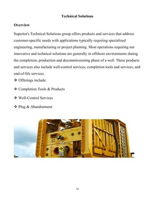 18
Technical Solutions
Overview
Superior's Technical Solutions group offers products and services that address
customer-specific needs with applications typically requiring specialized
engineering, manufacturing or project planning. Most operations requiring our
innovative and technical solutions are generally in offshore environments during
the completion, production and decommissioning phase of a well. These products
and services also include well-control services, completion tools and services, and
end-of-life services.
 Offerings include:
 Completion Tools & Products
 Well-Control Services
 Plug & Abandonment
 