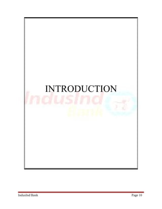 INTRODUCTION 
IndusInd Bank Page 10 
 