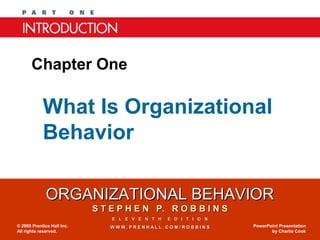 ORGANIZATIONAL BEHAVIORORGANIZATIONAL BEHAVIOR
S T E P H E N P. R O B B I N SS T E P H E N P. R O B B I N S
E L E V E N T H E D I T I O NE L E V E N T H E D I T I O N
W W W . P R E N H A L L . C O M / R O B B I N SW W W . P R E N H A L L . C O M / R O B B I N S© 2005 Prentice Hall Inc.
All rights reserved.
PowerPoint Presentation
by Charlie Cook
What Is Organizational
Behavior
Chapter One
 