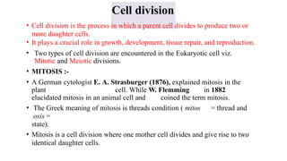 Comprehensive Overview of Chromatin Structure, Cell Division, and Cell ...