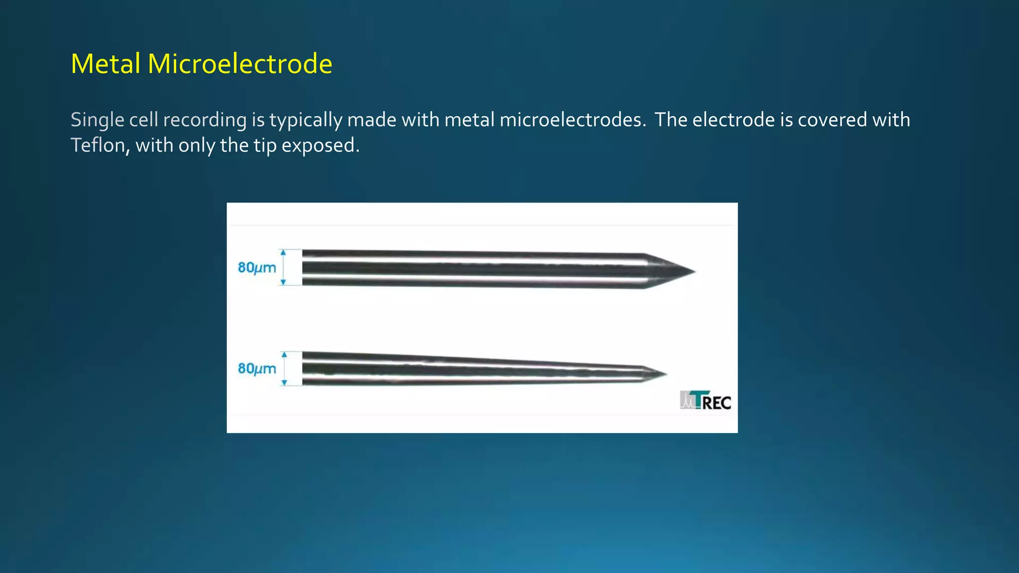 Metal Microelectrode