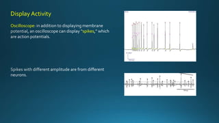 Display Activity
Oscilloscope
spikes
 