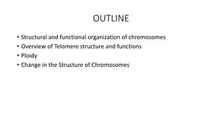 chromosome - Chromosomes + Mutations 3.pptx