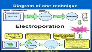 Cited From :- www.slideshare.net
 