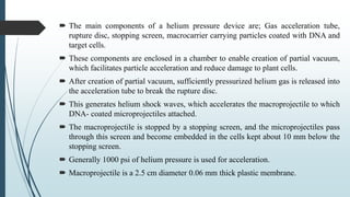  The main components of a helium pressure device are; Gas acceleration tube,
rupture disc, stopping screen, macrocarrier carrying particles coated with DNA and
target cells.
 These components are enclosed in a chamber to enable creation of partial vacuum,
which facilitates particle acceleration and reduce damage to plant cells.
 After creation of partial vacuum, sufficiently pressurized helium gas is released into
the acceleration tube to break the rupture disc.
 This generates helium shock waves, which accelerates the macroprojectile to which
DNA- coated microprojectiles attached.
 The macroprojectile is stopped by a stopping screen, and the microprojectiles pass
through this screen and become embedded in the cells kept about 10 mm below the
stopping screen.
 Generally 1000 psi of helium pressure is used for acceleration.
 Macroprojectile is a 2.5 cm diameter 0.06 mm thick plastic membrane.
 