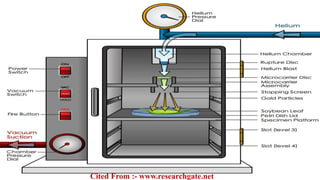 Cited From :- www.researchgate.net
 