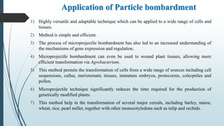 Application of Particle bombardment
1) Highly versatile and adaptable technique which can be applied to a wide range of cells and
tissues.
2) Method is simple and efficient.
3) The process of microprojectile bombardment has also led to an increased understanding of
the mechanisms of gene expression and regulation.
4) Microprojectile bombardment can even be used to wound plant tissues, allowing more
efficient transformation via Agrobacterium.
5) This method permits the transformation of cells from a wide range of sources including cell
suspensions, callus, meristematic tissues, immature embryos, protocorms, coleoptiles and
pollen.
6) Microprojectile technique significantly reduces the time required for the production of
genetically modified plants.
7) This method help in the transformation of several major cereals, including barley, maize,
wheat, rice, pearl millet, together with other monocotyledons such as tulip and orchids.
 
