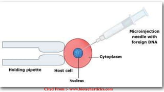 Cited From :- www.biotecharticles.com
 