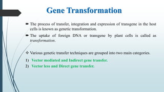 Gene Transformation
 The process of transfer, integration and expression of transgene in the host
cells is known as genetic transformation.
 The uptake of foreign DNA or transgene by plant cells is called as
transformation.
 Various genetic transfer techniques are grouped into two main categories.
1) Vector mediated and Indirect gene transfer.
2) Vector less and Direct gene transfer.
 