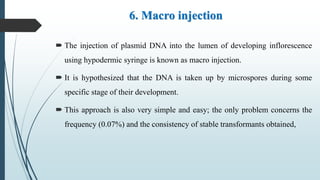 6. Macro injection
 The injection of plasmid DNA into the lumen of developing inflorescence
using hypodermic syringe is known as macro injection.
 It is hypothesized that the DNA is taken up by microspores during some
specific stage of their development.
 This approach is also very simple and easy; the only problem concerns the
frequency (0.07%) and the consistency of stable transformants obtained,
 