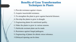 Benefits of Gene Transformation
Techniques in Plants
1) Provide resistance against viruses.
2) Acquire insecticidal resistance.
3) To strengthen the plant to grow against bacterial diseases.
4) Develop the plants to grow in draught.
5) Engineering plants for nutritional quality.
6) Make the plants to grow in various seasons.
7) Herbicide resistant plant can be made.
8) Resistance against fungal pathogens.
9) Engineering of plants for abiotic stress tolerance.
10)Delayed ripening can be done.
 