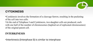 mitosis and meiosis Eukaryotic cell division[1].pptx PRUTHVI.pptx