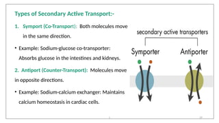 Comprehensive Overview of Membrane Transport Mechanisms in Cells | PPTX