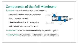Comprehensive Overview of Membrane Transport Mechanisms in Cells | PPTX