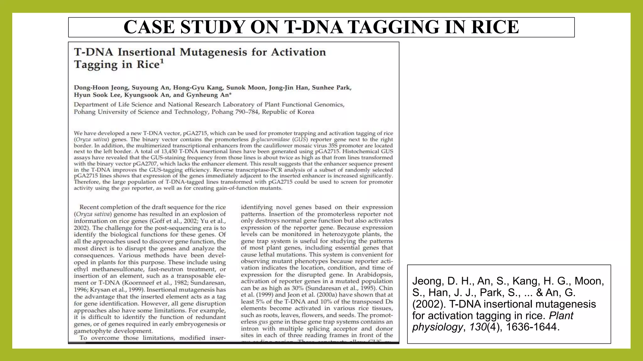 TDNA tagging and case study | PPTX