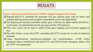TDNA tagging and case study | PPTX