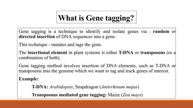 TDNA tagging and case study | PPTX | Gardening | Home & Garden