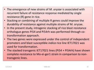 Gene stacking | PPTX