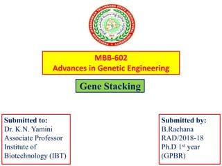 Gene Stacking
Submitted by:
B.Rachana
RAD/2018-18
Ph.D 1st year
(GPBR)
MBB-602
Advances in Genetic Engineering
Submitted to:
Dr. K.N. Yamini
Associate Professor
Institute of
Biotechnology (IBT)
 