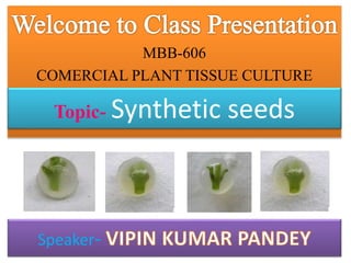 MBB-606
COMERCIAL PLANT TISSUE CULTURE
Topic- Synthetic seeds
Speaker-
 
