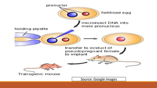 Source: Google images
 