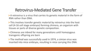 Retrovirus-Mediated Gene Transfer
A retrovirus is a virus that carries its genetic material in the form of
RNA rather than DNA.
This involves transfer genetic material by retrovirus into the host
cell (4-16 cell stage embryos) forming chimera, an organism with
tissues or parts of diverse genetic composition.
Chimeras are inbred for many generations until homozygous
transgenic offspring are born
The method was successfully used in 1974, a simian virus was
inserted into mice embryos, resulting in mice carrying this DNA.
 