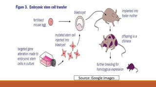 Source: Google images
 