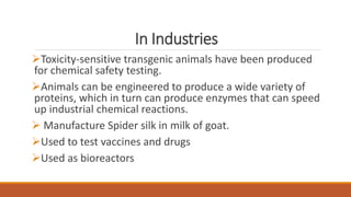 In Industries
Toxicity-sensitive transgenic animals have been produced
for chemical safety testing.
Animals can be engineered to produce a wide variety of
proteins, which in turn can produce enzymes that can speed
up industrial chemical reactions.
 Manufacture Spider silk in milk of goat.
Used to test vaccines and drugs
Used as bioreactors
 