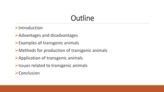 Outline
Introduction
Advantages and disadvantages
Examples of transgenic animals
Methods for production of transgenic animals
Application of transgenic animals
Issues related to transgenic animals
Conclusion
 