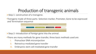Production of transgenic animals
Step 1- construction of a transgene.
•Transgene made of three parts- Selection marker, Promoter, Gene to be expressed
and Termination sequence
Step 2- Introduction of foreign gene into the animal.
•There are many methods for gene transfer, three basic methods used are:
i. Pronuclear DNA microinjection
ii. Retrovirus-mediated gene transfer
iii. Embryonic stem cell-mediated gene transfer
 