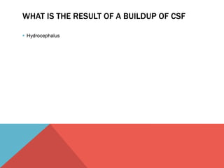 WHAT IS THE RESULT OF A BUILDUP OF CSF 
 Hydrocephalus 
 