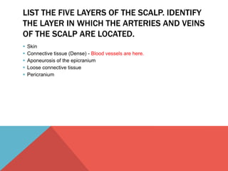 LIST THE FIVE LAYERS OF THE SCALP. IDENTIFY 
THE LAYER IN WHICH THE ARTERIES AND VEINS 
OF THE SCALP ARE LOCATED. 
 Skin 
 Connective tissue (Dense) - Blood vessels are here. 
 Aponeurosis of the epicranium 
 Loose connective tissue 
 Pericranium 
 