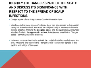 IDENTIFY THE DANGER SPACE OF THE SCALP 
AND DISCUSS ITS SIGNIFICANCE WITH 
RESPECT TO THE SPREAD OF SCALP 
INFECTIONS. 
 Danger space of the scalp: Loose Connective tissue layer 
 Infections in the loose connective tissue layer can also spread to the cranial 
cavity via emissary veins. Because the occipital belly of the occipitofrontalis 
muscle attaches firmly to the occipital bone, and the epicranial aponeurosis 
attaches firmly to the zygomatic arches, infections or blood in the “danger 
space” cannot spread into the neck. 
 However, because the frontal belly of the occipitofrontalis muscle inserts into 
skin, infections and blood in the “danger space” can and do spread to the 
eyelids and bridge of the nose 
 