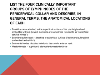 LIST THE FOUR CLINICALLY IMPORTANT 
GROUPS OF LYMPH NODES OF THE 
PERICERVICAL COLLAR AND DESCRIBE, IN 
GENERAL TERMS, THE ANATOMICAL LOCATIONS 
OF EACH. 
 Parotid nodes - attached to the superficial surface of the parotid gland and 
embedded within it (lowest members are sometimes referred to as “superficial 
cervical nodes”) 
 Submandibular nodes - attached to superficial surface of submandibular gland 
and embedded within it 
 Submental nodes - located inferior to the chin in anterior neck 
 Mastoid nodes – superior to sternocleidomastoid muscle 
 