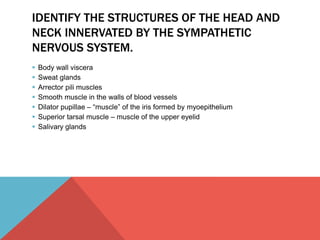 IDENTIFY THE STRUCTURES OF THE HEAD AND 
NECK INNERVATED BY THE SYMPATHETIC 
NERVOUS SYSTEM. 
 Body wall viscera 
 Sweat glands 
 Arrector pili muscles 
 Smooth muscle in the walls of blood vessels 
 Dilator pupillae – “muscle” of the iris formed by myoepithelium 
 Superior tarsal muscle – muscle of the upper eyelid 
 Salivary glands 
 
