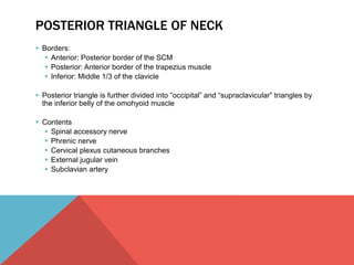 POSTERIOR TRIANGLE OF NECK 
 Borders: 
 Anterior: Posterior border of the SCM 
 Posterior: Anterior border of the trapezius muscle 
 Inferior: Middle 1/3 of the clavicle 
 Posterior triangle is further divided into “occipital” and “supraclavicular” triangles by 
the inferior belly of the omohyoid muscle 
 Contents 
 Spinal accessory nerve 
 Phrenic nerve 
 Cervical plexus cutaneous branches 
 External jugular vein 
 Subclavian artery 
 