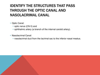 IDENTIFY THE STRUCTURES THAT PASS 
THROUGH THE OPTIC CANAL AND 
NASOLACRIMAL CANAL 
 Optic Canal: 
 optic nerve (CN II) and 
 ophthalmic artery (a branch of the internal carotid artery). 
 Nasolacrimal Canal: 
 nasolacrimal duct from the lacrimal sac to the inferior nasal meatus. 
 