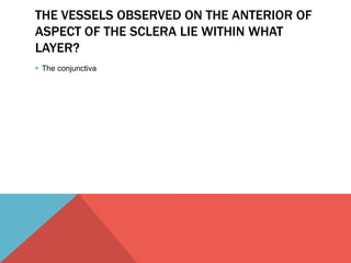 THE VESSELS OBSERVED ON THE ANTERIOR OF 
ASPECT OF THE SCLERA LIE WITHIN WHAT 
LAYER? 
 The conjunctiva 
 