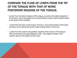 COMPARE THE FLOW OF LYMPH FROM THE TIP 
OF THE TONGUE WITH THAT OF MORE 
POSTERIOR REGIONS OF THE TONGUE. 
 Lymph from the lateral margins of the tongue, as well as the lateral aspects of 
the lower lip, drain principally to the submandibular lymph nodes located inferior 
to the body of the mandible. 
 Lymph from the apex of the tongue, frenulum, and central portion of the lower 
lip drains to the submental lymph nodes located inferior to the chin. 
 Lymph from the central and posterior aspects of the dorsum of the tongue 
drain principally to the jugulodigastric node – the largest member of the 
superior group of the deep cervical chain. 
 