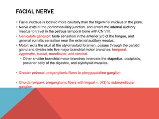 FACIAL NERVE 
 Facial nucleus is located more caudally than the trigeminal nucleus in the pons. 
 Nerve exits at the pontomedullary junction, and enters the internal auditory 
meatus to travel in the petrous temporal bone with CN VIII. 
 Geniculate ganglion: taste sensation in the anterior 2/3 of the tongue, and 
general somatic sensation near the external auditory meatus. 
 Motor: exits the skull at the stylomastoid foramen, passes through the parotid 
gland and divides into five major branchial motor branches: temporal, 
zygomatic, buccal, mandibular, and cervical. 
 Other smaller branchial motor branches innervate the stapedius, occipitalis, 
posterior belly of the digastric, and stylohyoid muscles. 
 Greater petrosal: preganglionic fibers to pterygopalatine ganglion 
 Chorda tympani: preganglionic fibers with lingual n. (V3) to submandibular 
ganglion 
 