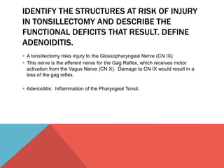 IDENTIFY THE STRUCTURES AT RISK OF INJURY 
IN TONSILLECTOMY AND DESCRIBE THE 
FUNCTIONAL DEFICITS THAT RESULT. DEFINE 
ADENOIDITIS. 
 A tonsillectomy risks injury to the Glossopharyngeal Nerve (CN IX) 
 This nerve is the afferent nerve for the Gag Reflex, which receives motor 
activation from the Vagus Nerve (CN X). Damage to CN IX would result in a 
loss of the gag reflex. 
 Adenoiditis: Inflammation of the Pharyngeal Tonsil. 
 