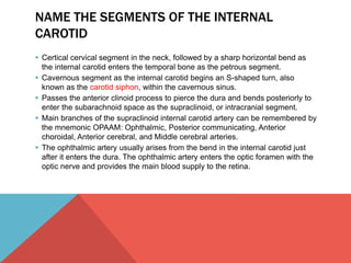 NAME THE SEGMENTS OF THE INTERNAL 
CAROTID 
 Certical cervical segment in the neck, followed by a sharp horizontal bend as 
the internal carotid enters the temporal bone as the petrous segment. 
 Cavernous segment as the internal carotid begins an S-shaped turn, also 
known as the carotid siphon, within the cavernous sinus. 
 Passes the anterior clinoid process to pierce the dura and bends posteriorly to 
enter the subarachnoid space as the supraclinoid, or intracranial segment. 
 Main branches of the supraclinoid internal carotid artery can be remembered by 
the mnemonic OPAAM: Ophthalmic, Posterior communicating, Anterior 
choroidal, Anterior cerebral, and Middle cerebral arteries. 
 The ophthalmic artery usually arises from the bend in the internal carotid just 
after it enters the dura. The ophthalmic artery enters the optic foramen with the 
optic nerve and provides the main blood supply to the retina. 
 