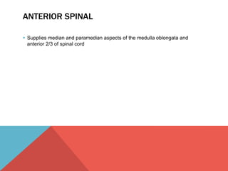 ANTERIOR SPINAL 
 Supplies median and paramedian aspects of the medulla oblongata and 
anterior 2/3 of spinal cord 
 