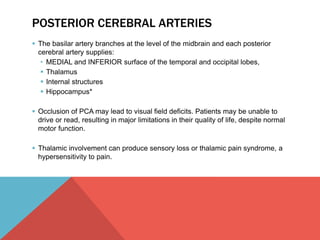 POSTERIOR CEREBRAL ARTERIES 
 The basilar artery branches at the level of the midbrain and each posterior 
cerebral artery supplies: 
• MEDIAL and INFERIOR surface of the temporal and occipital lobes, 
 Thalamus 
 Internal structures 
 Hippocampus* 
 Occlusion of PCA may lead to visual field deficits. Patients may be unable to 
drive or read, resulting in major limitations in their quality of life, despite normal 
motor function. 
 Thalamic involvement can produce sensory loss or thalamic pain syndrome, a 
hypersensitivity to pain. 
 