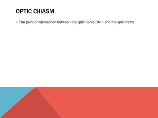 OPTIC CHIASM 
 The point of intersection between the optic nerve CN II and the optic tracts 
 