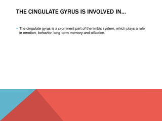 THE CINGULATE GYRUS IS INVOLVED IN… 
 The cingulate gyrus is a prominent part of the limbic system, which plays a role 
in emotion, behavior, long-term memory and olfaction. 
 