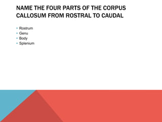 NAME THE FOUR PARTS OF THE CORPUS 
CALLOSUM FROM ROSTRAL TO CAUDAL 
 Rostrum 
 Genu 
 Body 
 Splenium 
 