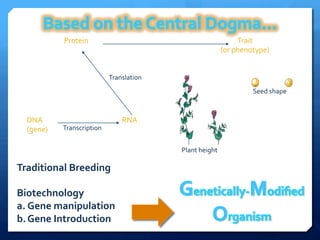 DNA	
  
(gene)	
  
RNA	
  
Protein	
   Trait	
  
(or	
  phenotype)	
  
Transcription	
  
Translation	
  
Plant	
  height	
  
Seed	
  shape	
  
Traditional	
  Breeding	
  
	
  
Biotechnology	
  
a.  Gene	
  manipulation	
  
b. Gene	
  Introduction	
  
 
