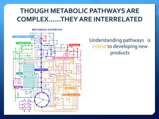 THOUGH	
  METABOLIC	
  PATHWAYS	
  ARE	
  
COMPLEX……THEY	
  ARE	
  INTERRELATED	
  
Understanding	
  pathways	
  	
  	
  is	
  
critical	
  to	
  developing	
  new	
  
products	
  
 